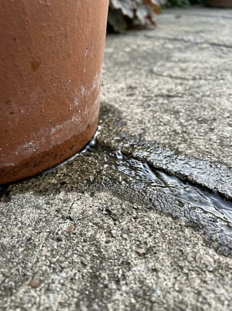 Water running from the drainage holes at the base of a container after deep watering