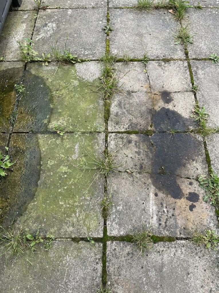 Close view of a tired patio showing algae film, a dark stain and weeds growing in the joints